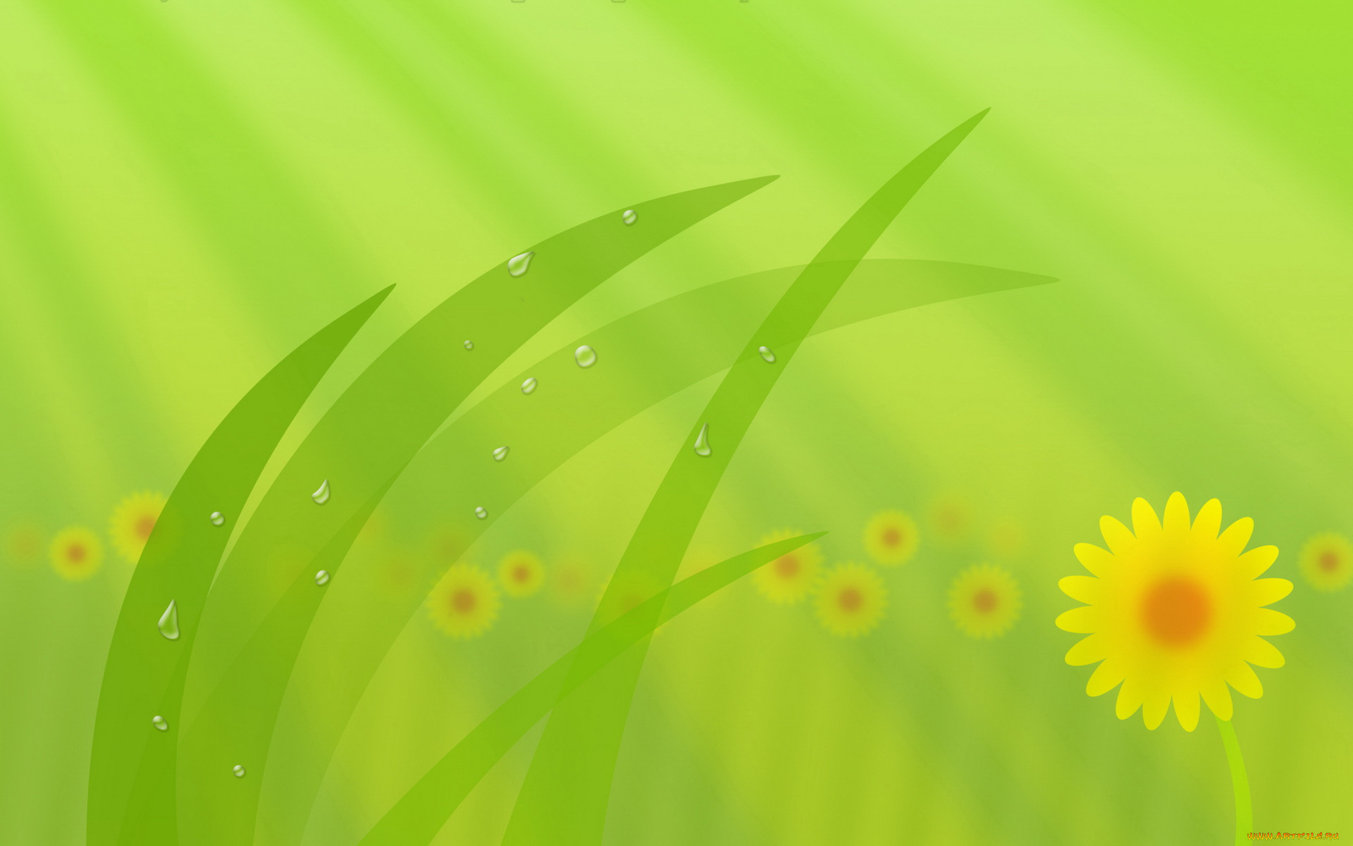  ,  , flowers, 